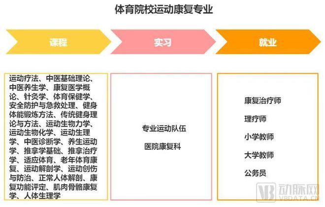 运动康复专业的收入（运动康复专业的收入怎么样）-图2