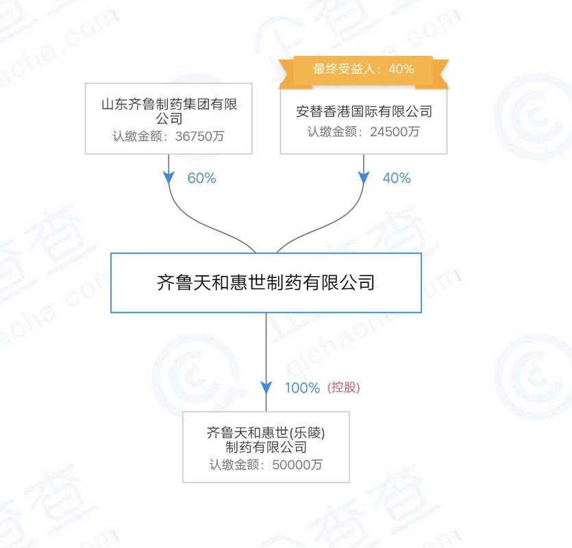 齐鲁制药收入组成（齐鲁制药有限公司资产）-图2