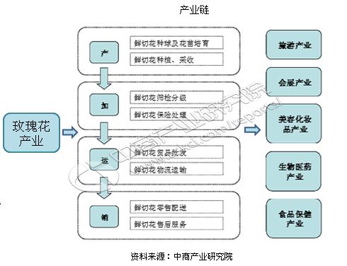 玫瑰产业带动收入（玫瑰花产业的效益分析）-图1