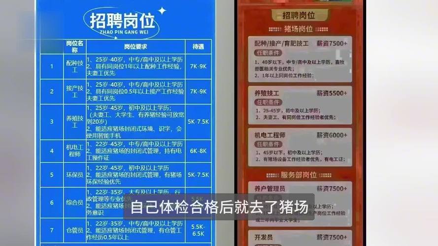 应聘搜狐视频收入（应聘搜狐视频收入高吗）-图1